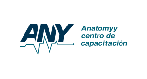 ANY ANATOMYY